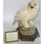 A large limited edition Aynsley porcelain sculpture of the great snowy owl no.