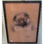 Maud West Watson, a framed and glazed pastel study of a Pomeranian puppy,