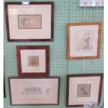 A collection of five framed and glazed canine studies, various sizes.