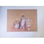 Imagination colour print by Thomas Newman. Signed by artist. Numbered 128/250. Approx size 29x20.