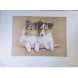 Two of a Kind colour print by Thomas Newman. Signed by artist. Numbered 37/250. Approx size 29x20.