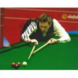Snooker Ricky Walden Signed Snooker 8x10 Photo. Good Condition. All signed pieces come with a
