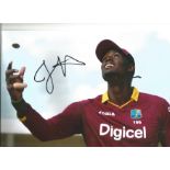 Cricket Jason Holder Signed West Indies Cricket 8x12 Photo. Good Condition. All signed pieces come