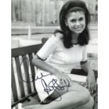 Ayshea Brough. 8 x 10 inch photo signed by 1960's pop star and actress Ayshea Brough. Good