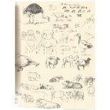 Norman Thelwell signed illustrated card. Comes with Wrestling with a pencil - the life of a