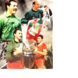 Football Bruce Grobbelaar 16x12 signed colour montage photo. Good condition Est.