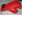 Terry Marsh boxing authentic genuine signed autograph glove. Good condition Est.