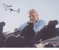 Sir David Attenborough signed 10 x 8 photo. Good Condition. All signed pieces come with a