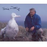 Sir David Attenborough. 10x8 nature signed photo. Good Condition. All signed pieces come with a