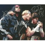 D Generation X WWE Wrestling hand signed 10x8 photo. This beautiful hand signed photo depicts