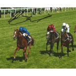 William Buick Signed Horse Racing Jockey 8x10 Photo. Good Condition. All signed pieces come with a