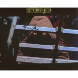 Star Wars Ewok 8x10 Photo Signed By Star Wars Return Of The Jedi Ewok Actor Brian Wheeler. Good