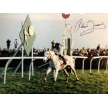 Richard Dunwoody 16x12 Inch Photo Of Desert Orchid Signed By Her Jockey, Grand National Winner