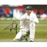Tim Paine Signed Australia Cricket 8x10 Photo. Good Condition. All signed pieces come with a