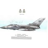 RAF 16X12 print Desert Storm signed by Squadron Leader John Peters and one other pictured is a