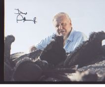 Sir David Attenborough 10x8 nature signed photo. Good Condition. All autographs are genuine hand