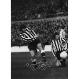 Football Malcom Macdonald 16x12 signed b/w photo pictured in action for Newcastle United. Good