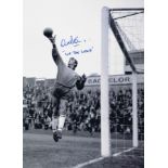 Football Autographed ALEX STEPNEY photo, a superb image depicting the Millwall goalkeeper at full