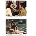 The Mind of Mr Soames set of eight lobby cards from the 1970 British, American Sci Fi drama film