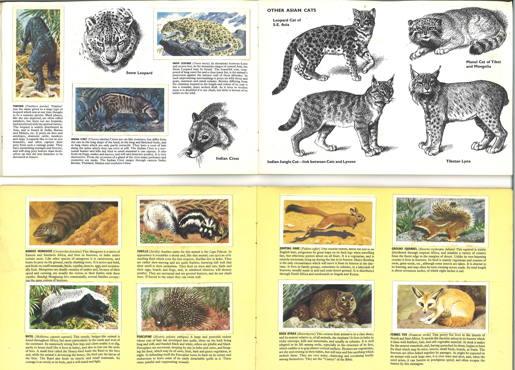Cigarette card album collection from Brooke Bond. Complete sets. Includes Asian Wildlife, African - Image 2 of 3