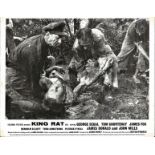 King Rat lobby card from the 1965 prisoner of war film starring George Segal, Tom Courtenay, James