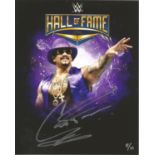 Low Price Sale! The Godfather WWE Wrestling hand signed 10x8 photo. This hand signed photo depicts