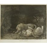 After George Stubbs, Tygers at Play, engraving originally published 1780, 38 x 48cm; The Spanish