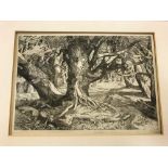 Charles Chaplin, RE, 'New Forest Glade', etching, numbered 19, signed, dated 1963 and inscribed with