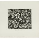 Robin Tanner (1904-1988) Lesser Celandine, etching, printed for Iain Bain 1982, inscribed and signed