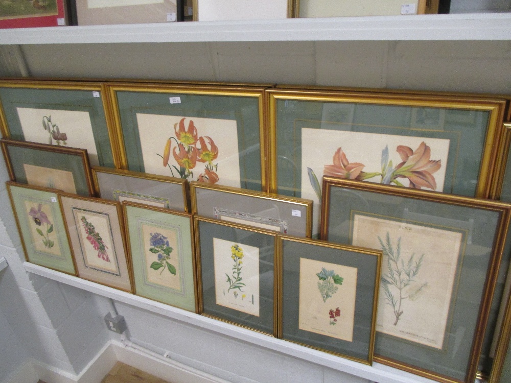 Botanical prints, a set of nine together with another set of six by Redoute together with a quantity - Image 2 of 2