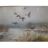 Roland Green (British, 1896-1972), Mallard, signed lower right "Roland Green", watercolour, 25 x