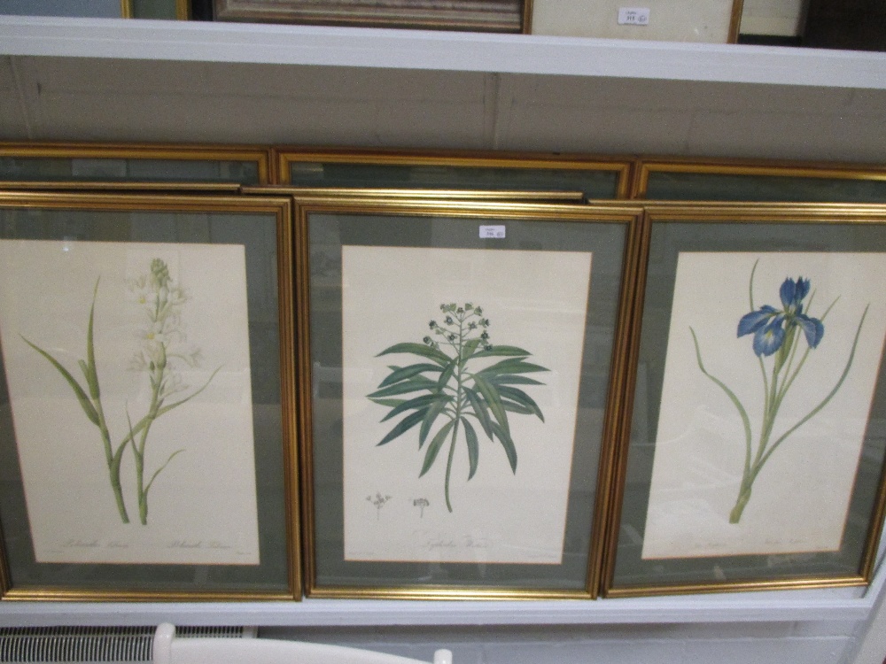 Botanical prints, a set of nine together with another set of six by Redoute together with a quantity