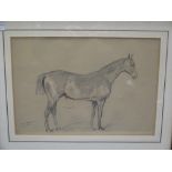 John Duvall of Ipswich (1816-1892), pencil sketch on paper of a horse, 25 x 37cm