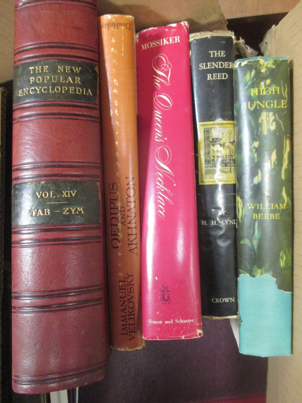 A large quantity of various books, to include novels, encyclopedia and others (qty)