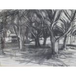 Peter Coat (British, 1926-2016) 'In an Orchard, 1963', signed and dated, charcoal, 56 x 75cm