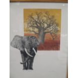 Hilda Bernstein (1915-2006) 'Impala', numbered 52/90, etching, 64 x 55cm; 'Baobab, numbered 30/90,