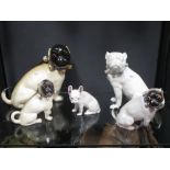 Four Continental pug models & another of a French Bulldog (5)