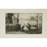 Harry Becker (British, 1865-1928) Sheep studies etchings, two states of the same subject, and
