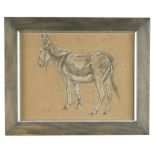 Richard Henry Brock (British, 1871-1943) Study of a donkey signed "R H Brock / Sept. 1912" lower