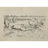 Harry Becker (British, 1865-1928) A sow suckling piglets in a field, with other pigs alongside