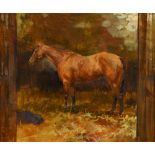 § Tod Ramos (British, b. 1956) Study of a bay thoroughbred in a stable signed lower right "Tod R"