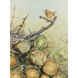 § Alan M Hunt (British, b. 1947) Wren on a branch signed lower left "Alan M Hunt / '96" oil on