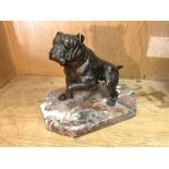 A 19th century bronze model of a bulldog, modelled with one paw off the ground, mounted to later