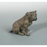 A Bergman cold painted bronze model of a seated bulldog, stamped urn mark 12.50cm (5in)