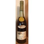 Cognac Pinet Castillon & Co Grand Fine Champagne 1920, 1 btl