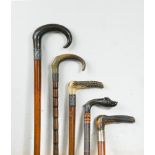 A collection of walking canes, comprising sectional walking cane with carved horn handle, two silver
