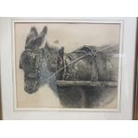 *** MGH (British, early 20th Century) Study of a donkey in harness signed lower right with