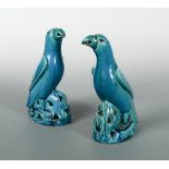 A pair of 19th century Qing dynasty turquoise glazed parrots, both birds sitting upon pierced