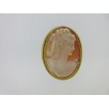A French 18ct gold brooch set with a cameo, the shell cameo depicting a pretty girl with shoulder