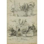 Alfred William Strutt (British, 1856-1924) Studies of Fara cattle inscribed lower right "Fara Oct.